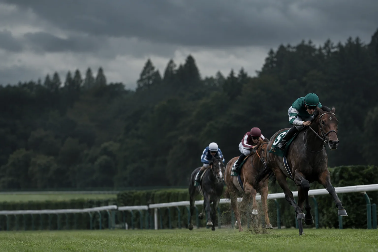 終盤の芝コースで、前を走る馬を追って加速する競走馬たちのイメージ